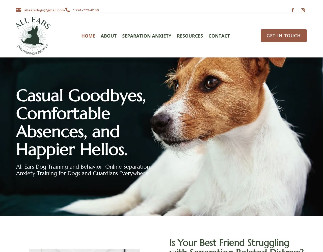 All Ears Dog Training and Behavior website design by DigiWoof