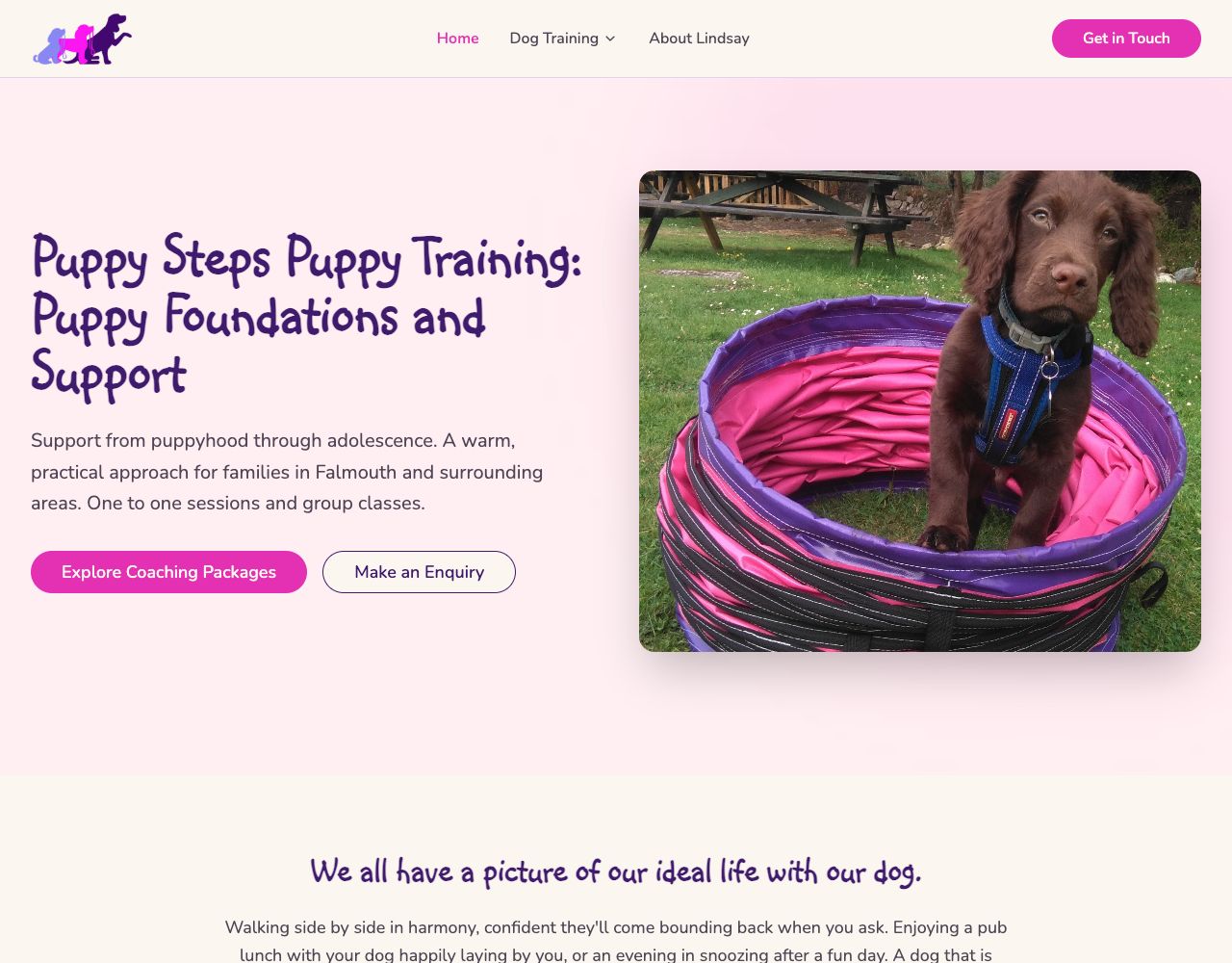 Take Puppy Steps website design by DigiWoof