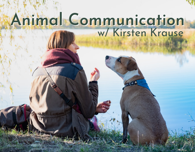 Animal Communication with Kirsten Krause at Refinity Wellness.