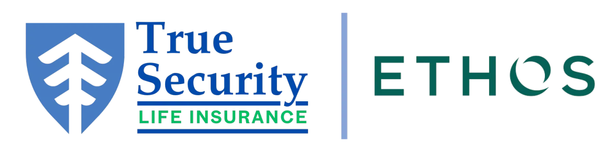 True Security Life | Ethos