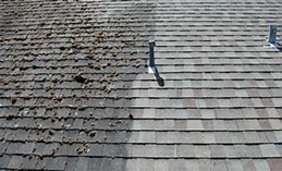 Syracuse roof cleaning services