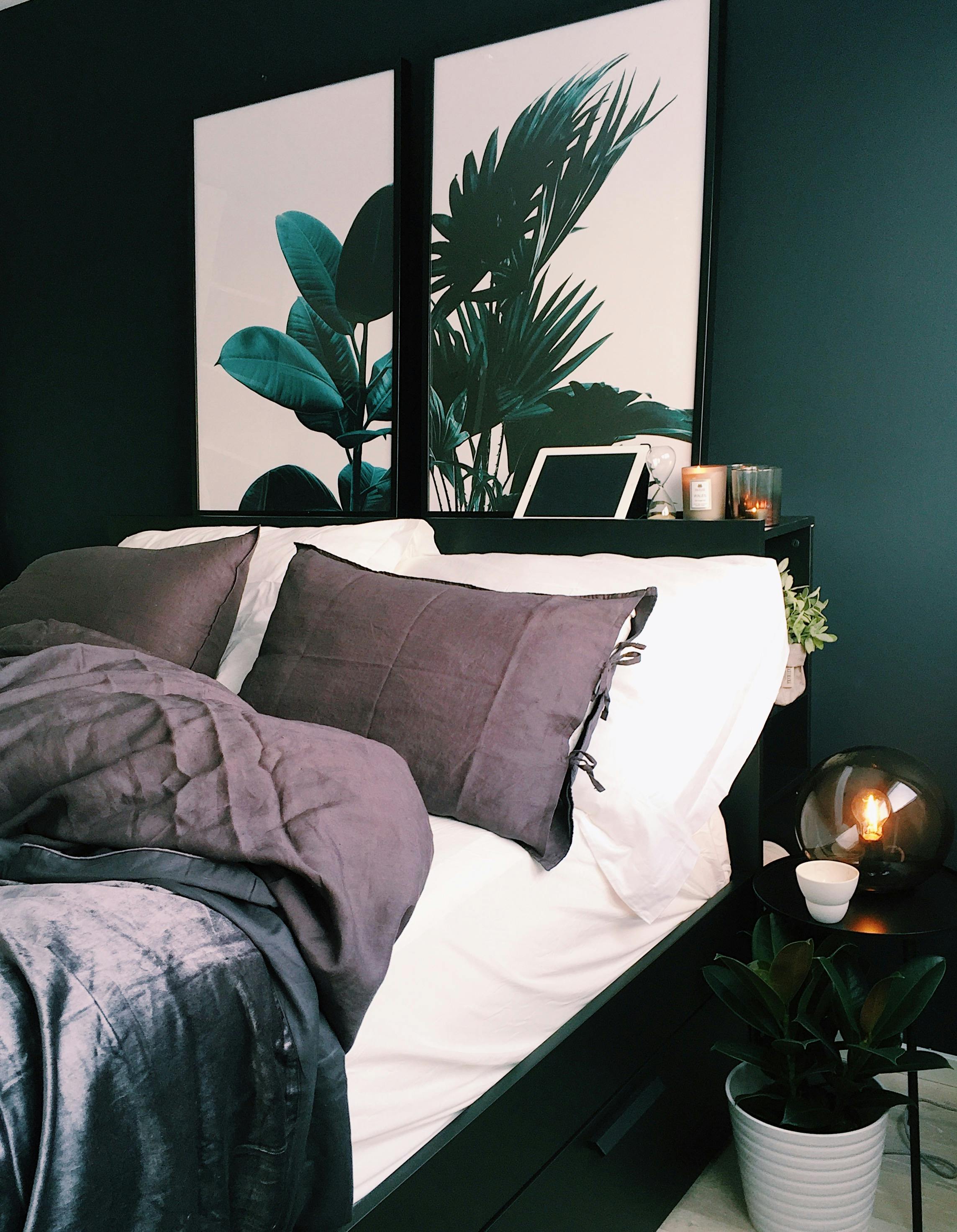 Dark teal painted accent wall in a modern Cleveland bedroom with framed botanical art