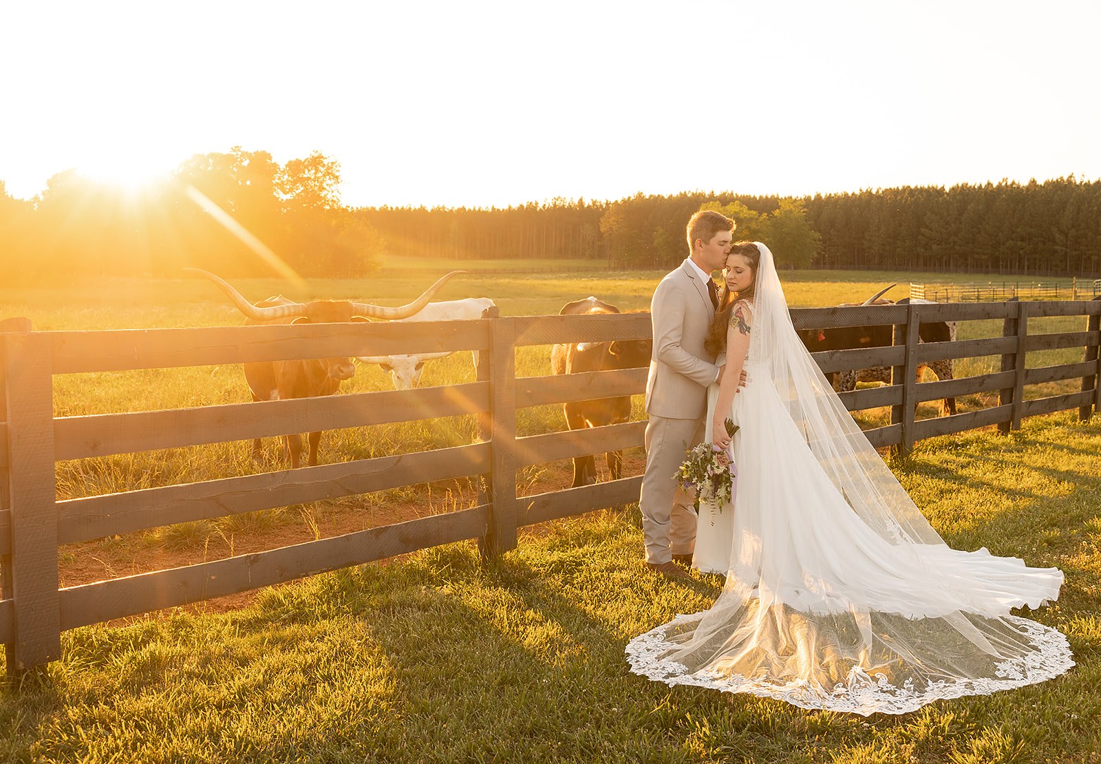 A couple at sunset beside the longhorn pasture