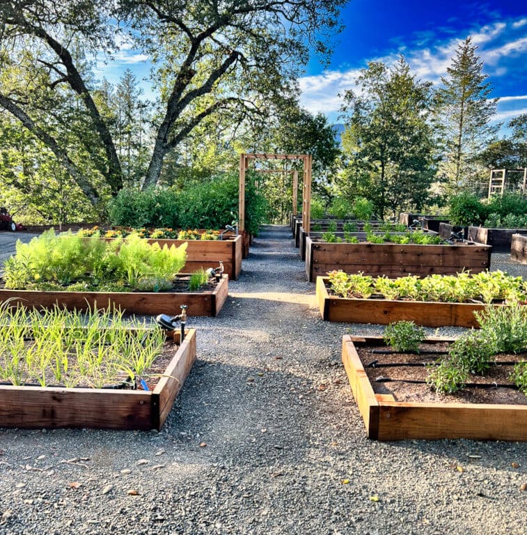 Landscaping project in Napa Valley