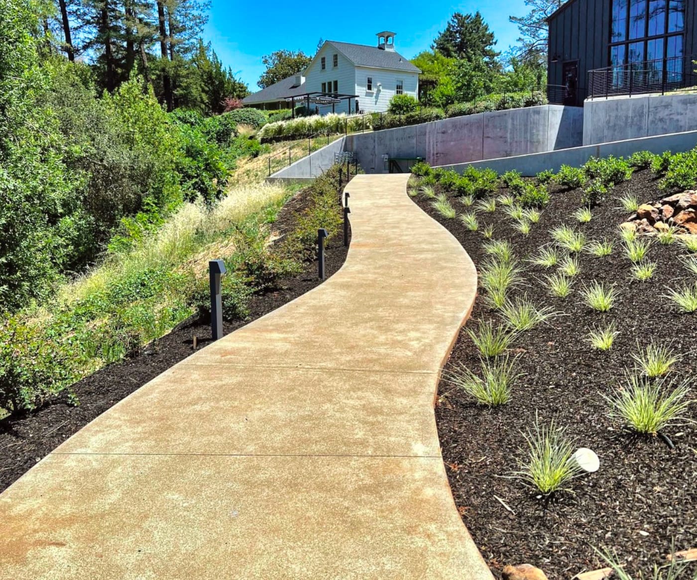 Landscaping project in Napa Valley