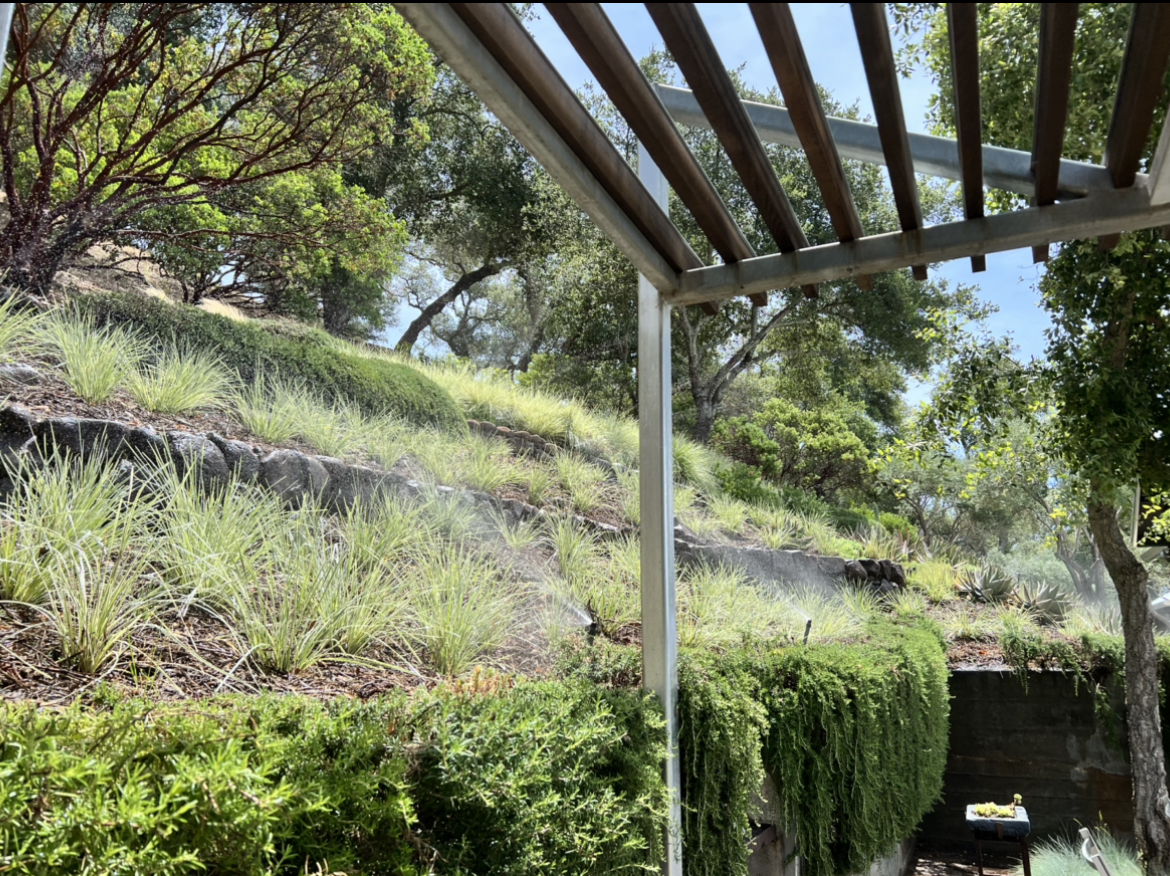 Seasonal landscape clean-up and bed preparation