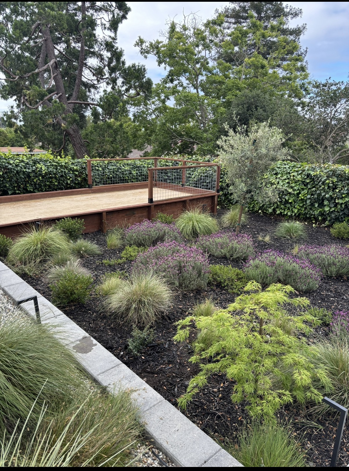 Landscape site assessment for maintenance planning