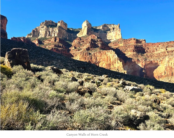 Canyon Walls Canyon Walls