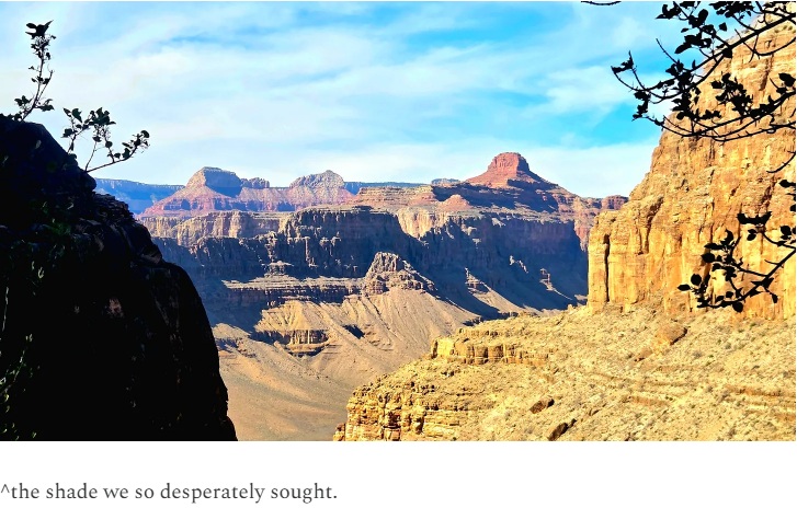 The shade we desperately sought The shade we desperately sought