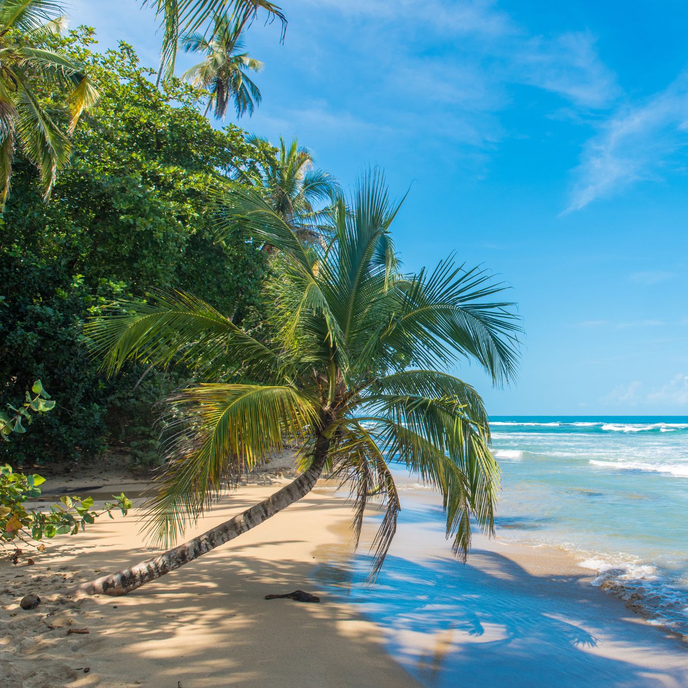 The Beautiful Life Retreat, a bright destination setting