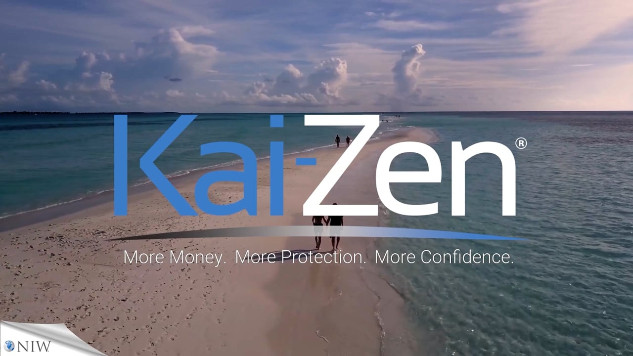 Kai-Zen: For Executives