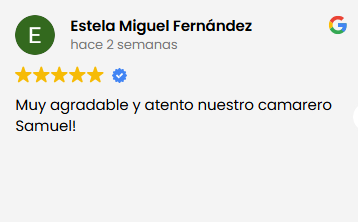 Reseña Google 3