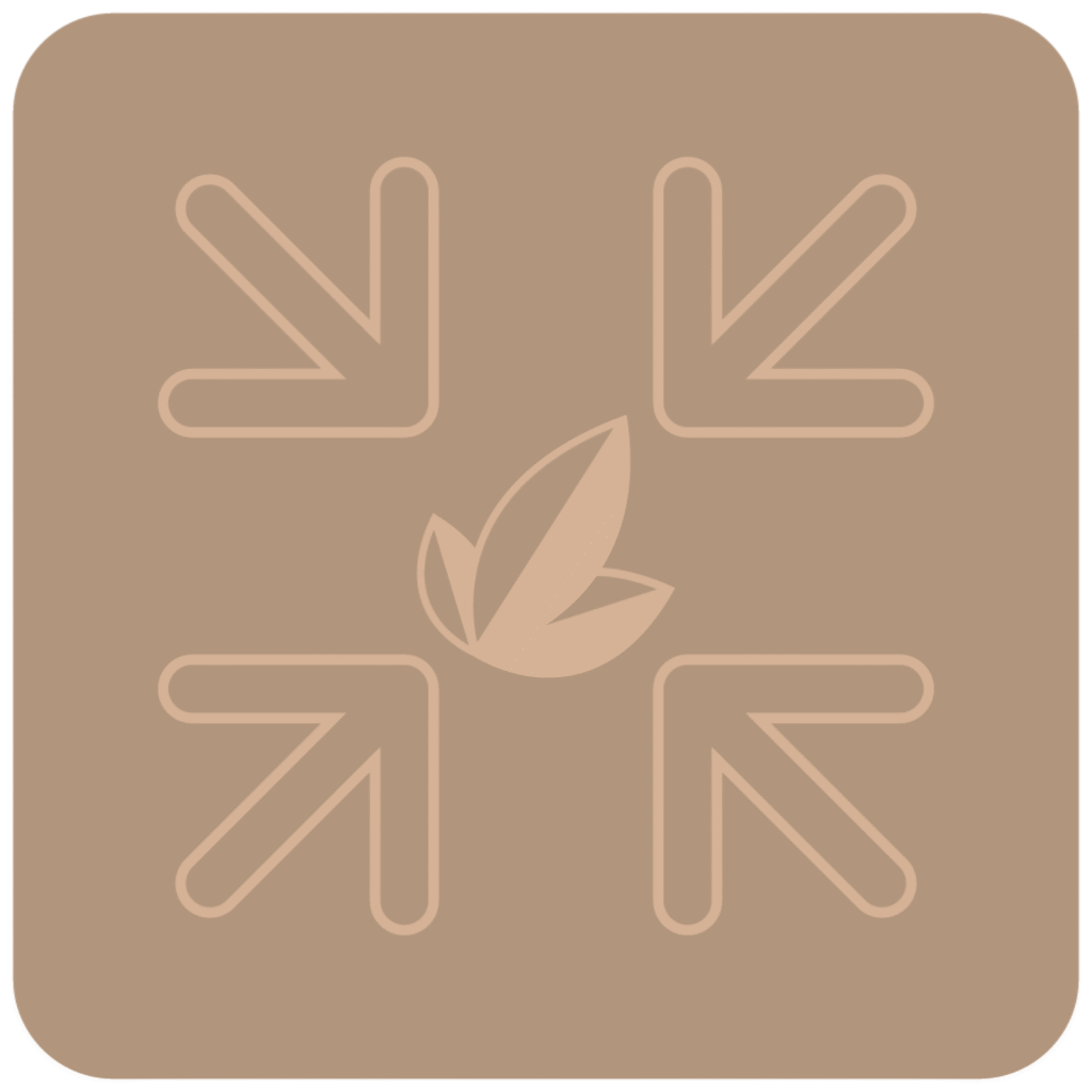 Internal focal point icon