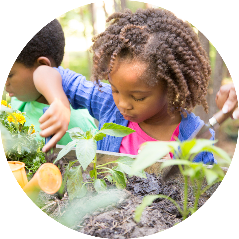 A child learning in a garden