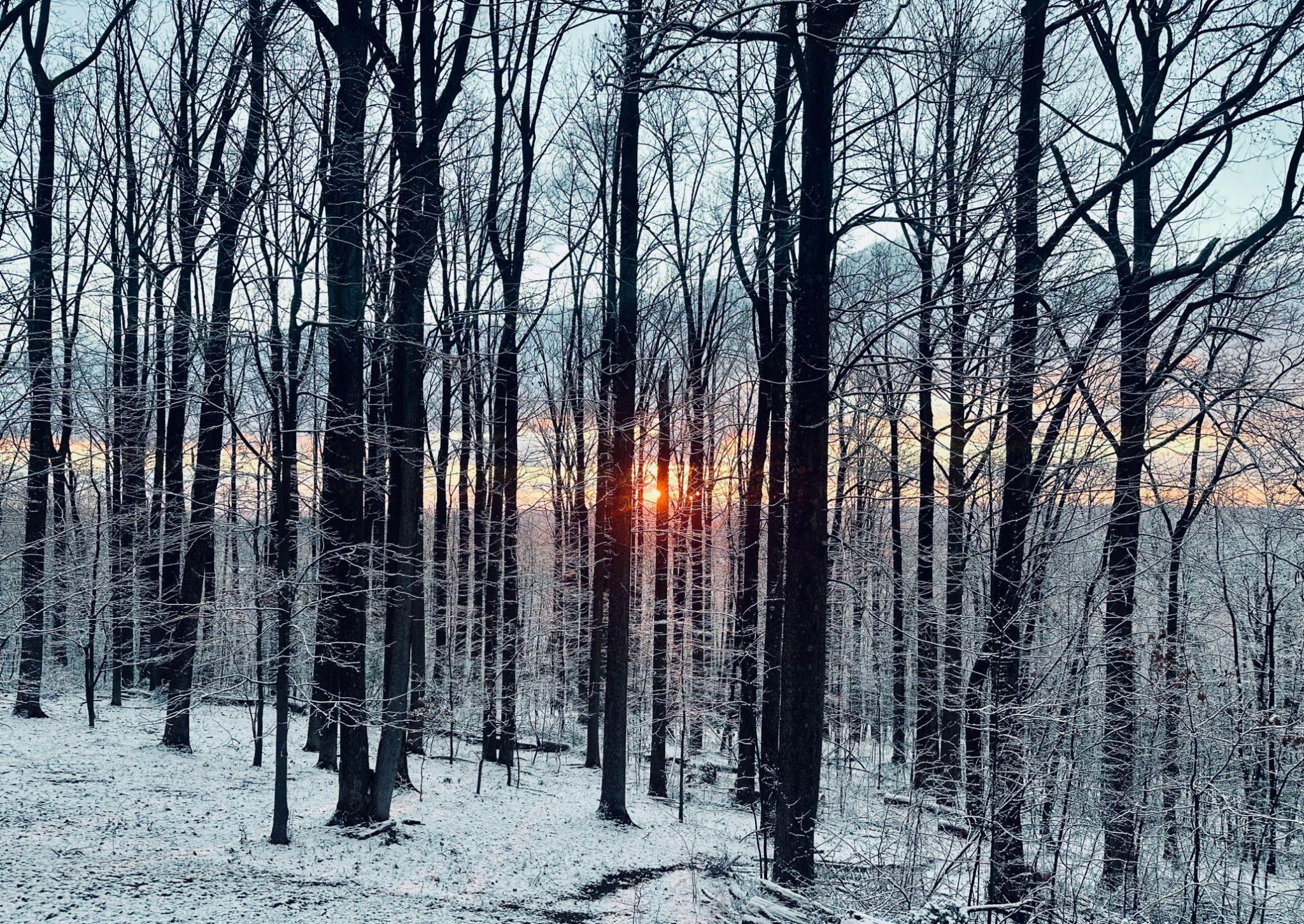 Snowy Vermont mountains at Good Commons