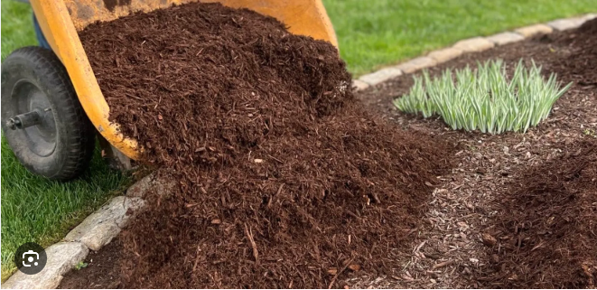 Mulch Installation in Austin, TX