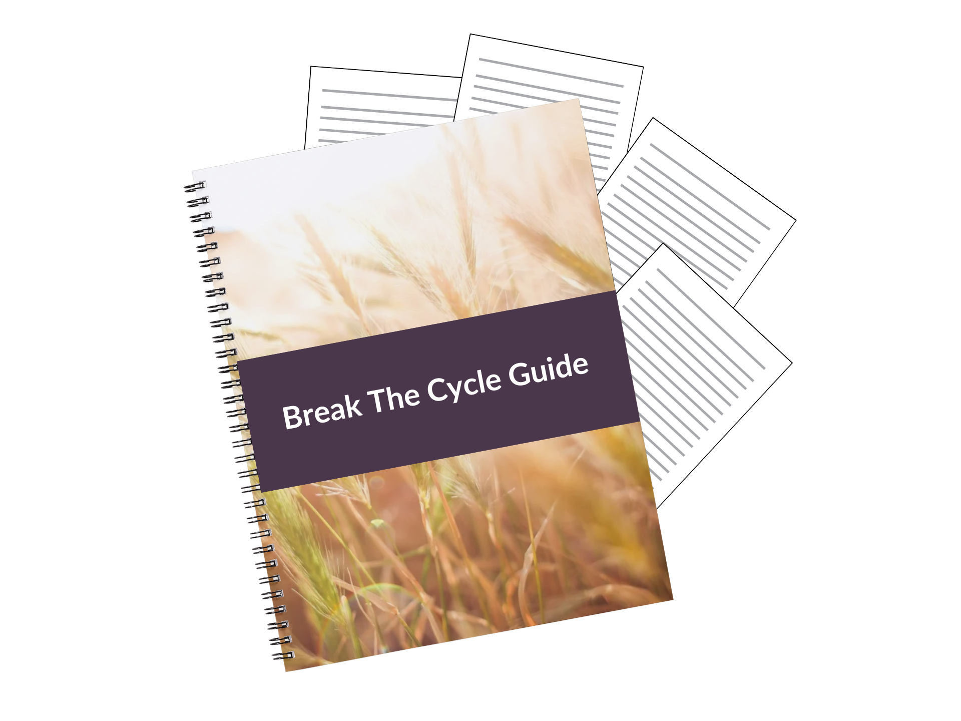 Break The Cycle Guide