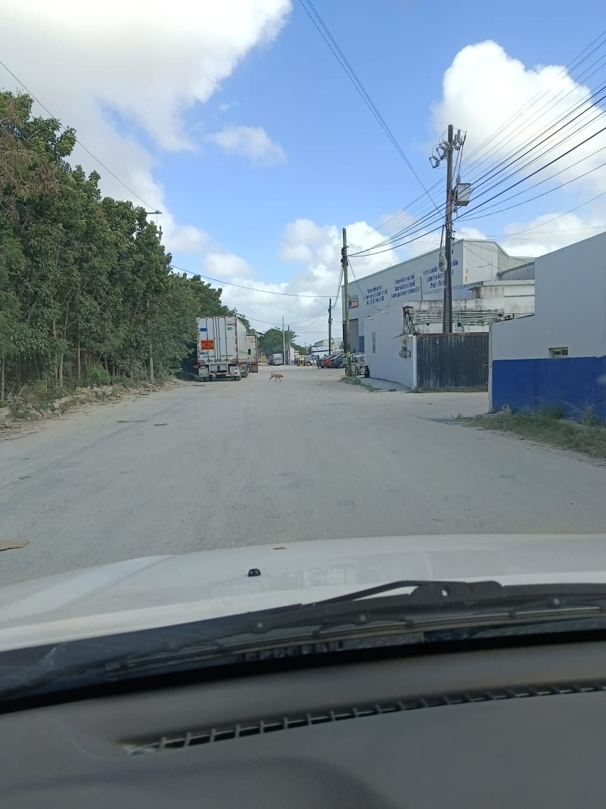 Image 5