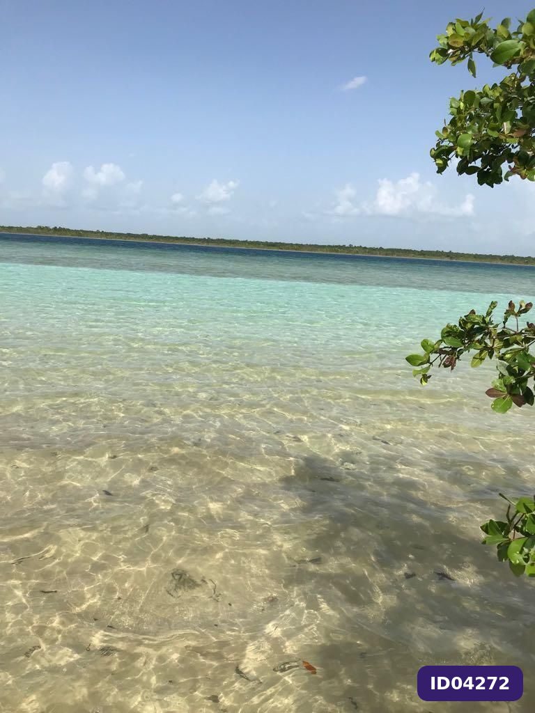Terreno frente a la Hermosa Laguna de Bacalar Macrolote
