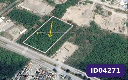 Imagen 1