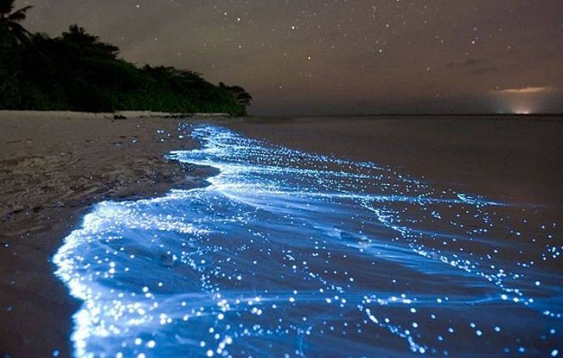Holbox