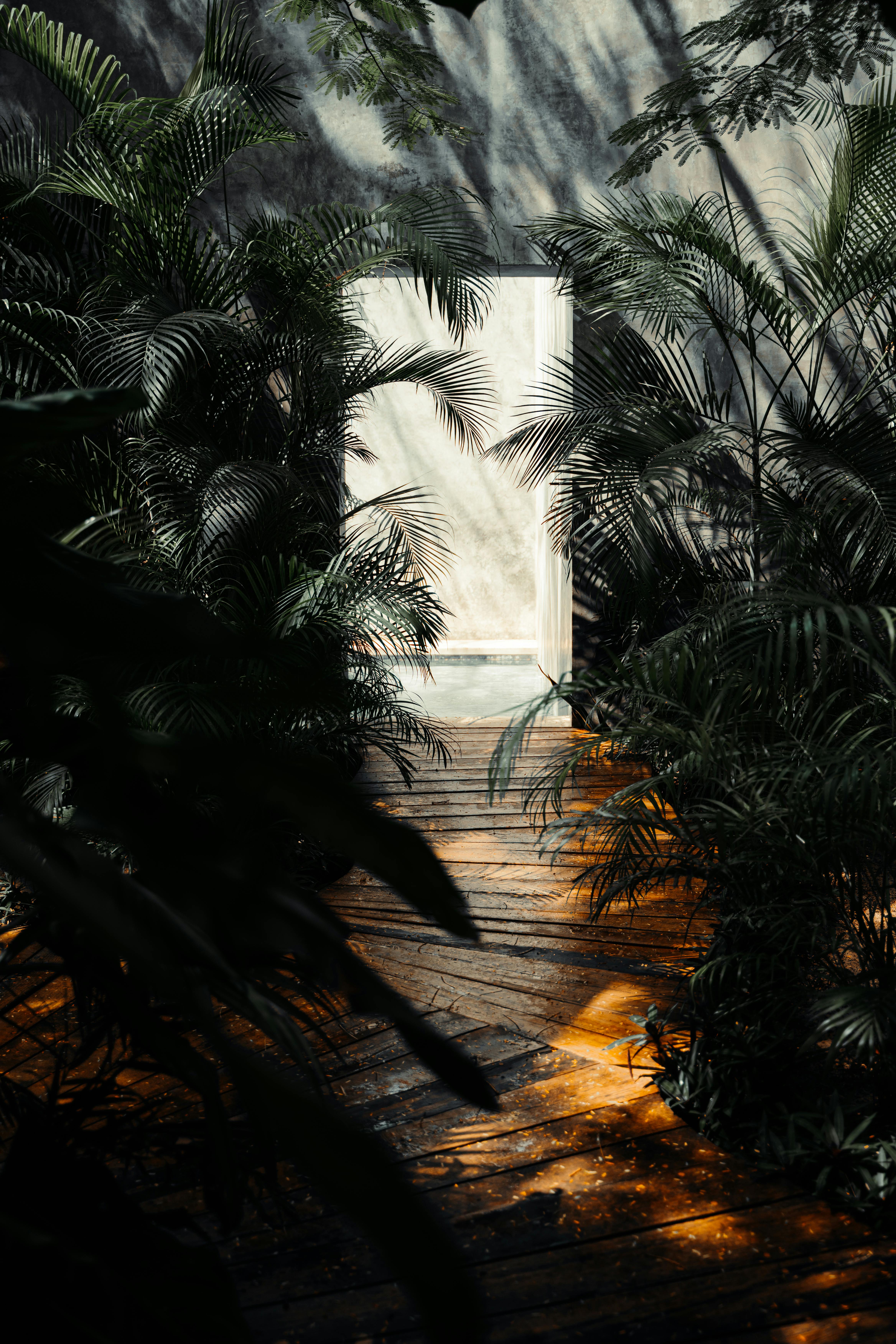 Riviera Maya