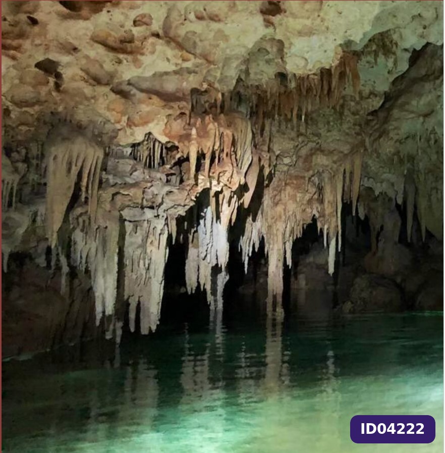 Lotes Exclusivos en Tulum con Cenote Privado y Seguridad Jurídica - Promocion a Precios descontados