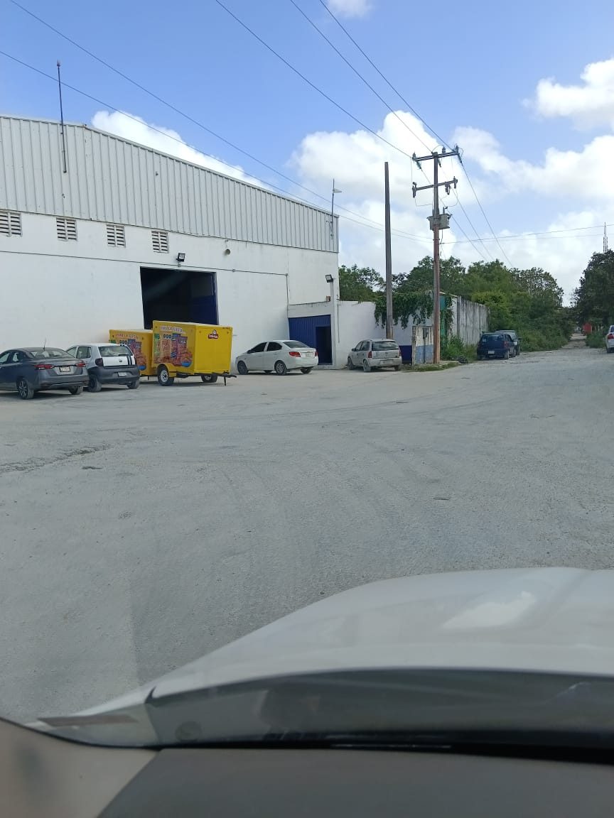 Image 6