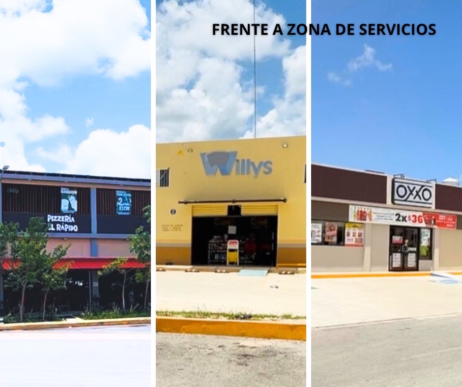 Imagen 24