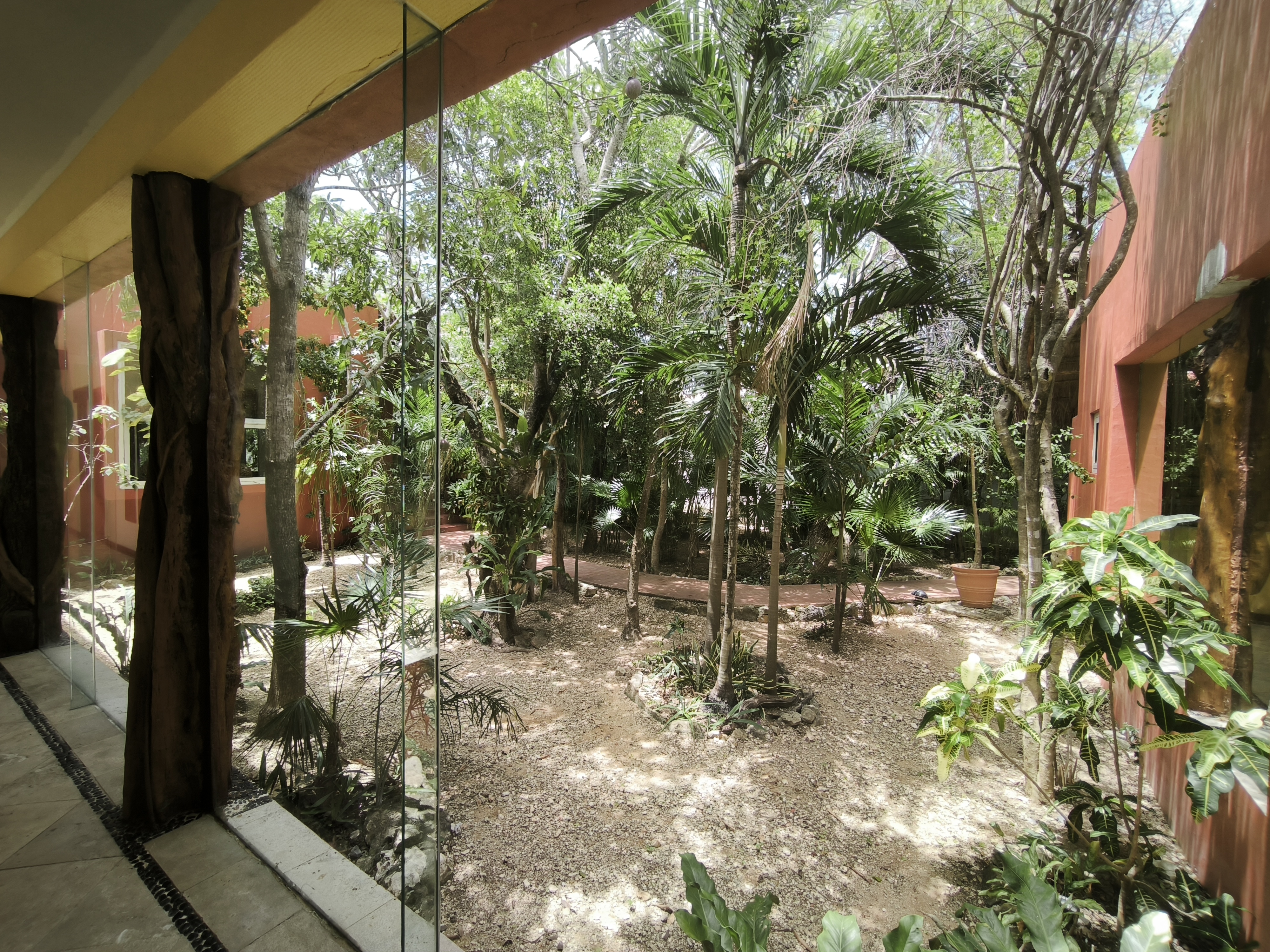 Image 7