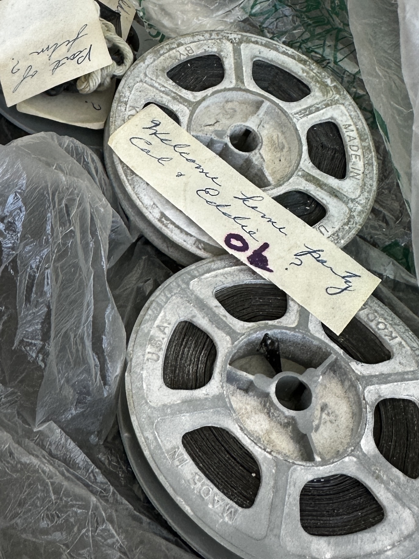 Damaged film reel with mold Damaged film reel with mold