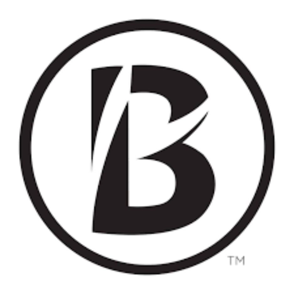 Boston Business Women logo