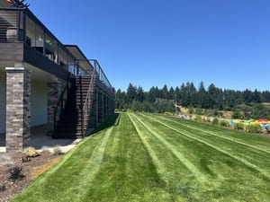 {{ custom_values.service_3 }} in {{custom_values.area_3})