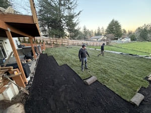 Winter Cleanups in Forest Grove