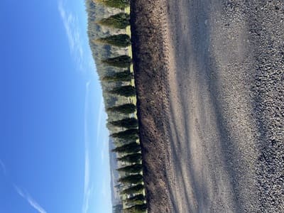 {{ custom_values.service_3 }} in {{custom_values.area_2})