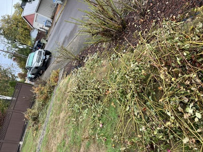 {{ custom_values.service_2 }} in {{custom_values.area_2})