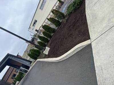 Lawn Maintenance in Gaston