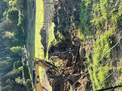 Bush Trimming in Forest Grove
