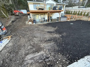 Roof Cleaning/Moss Removal in Forest Grove