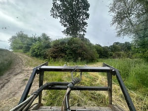 {{ custom_values.service_1 }} in {{custom_values.area_5})