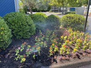 {{ custom_values.service_3 }} in {{custom_values.area_2})