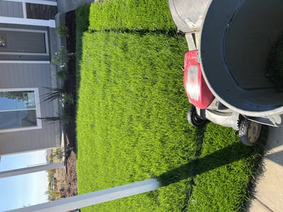 {{ custom_values.service_2 }} in {{custom_values.area_2})