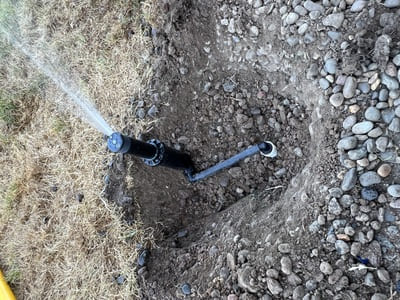 Lawn Maintenance in Forest Grove