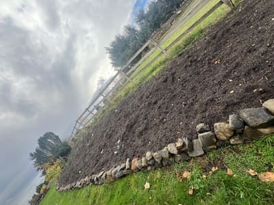 {{ custom_values.service_3 }} in {{custom_values.area_2})