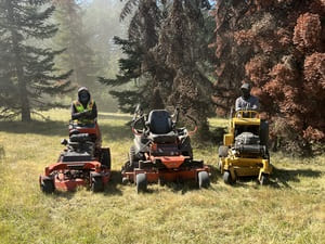 Roof Cleaning/Moss Removal in Forest Grove