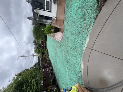 {{ custom_values.service_3 }} in {{custom_values.area_3})