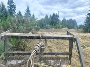 {{ custom_values.service_3 }} in {{custom_values.area_3})