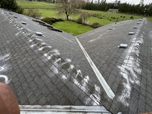 {{ custom_values.service_3 }} in {{custom_values.area_3})