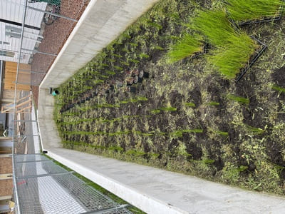 Lawn Fertilization in Forest Grove