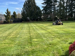 {{ custom_values.service_1 }} in {{custom_values.area_2})